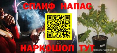 мдпв Гатчина