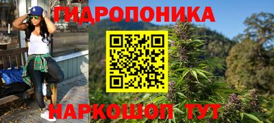 мдпв Гатчина