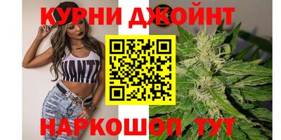 мдпв Гатчина