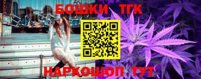 мдпв Гатчина
