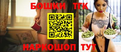 мдпв Гатчина