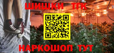 мдпв Гатчина