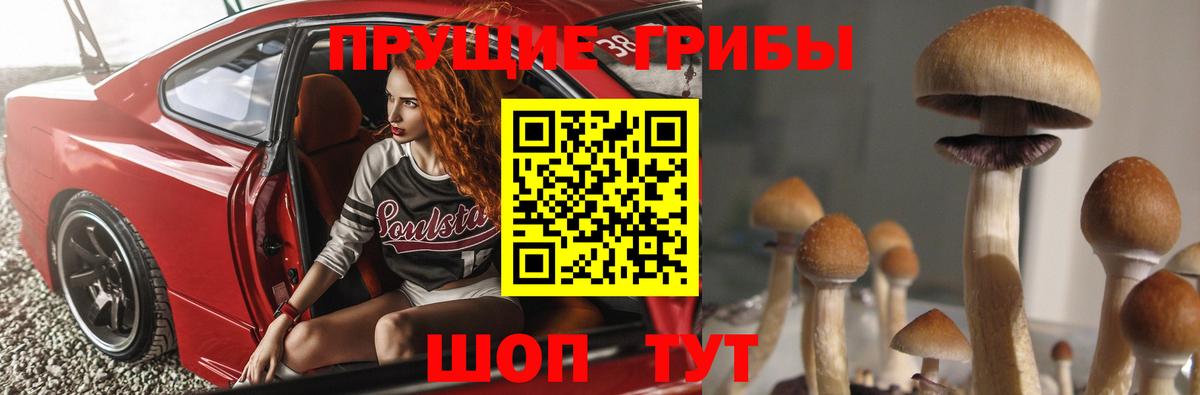 Псилоцибиновые грибы мицелий  Вход с VPN  Галлюциногенные грибы Psilocybine cubensis  Жуковский 